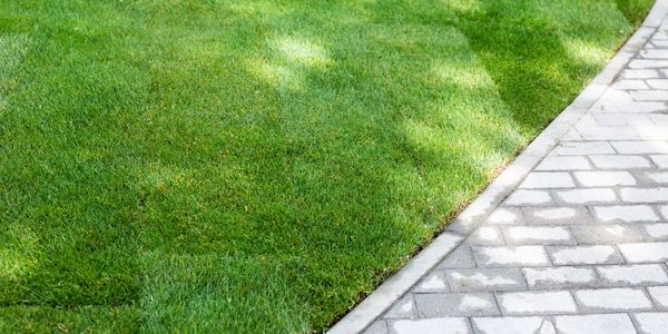 Freshly mowed green grass beside a clean paved walkway.