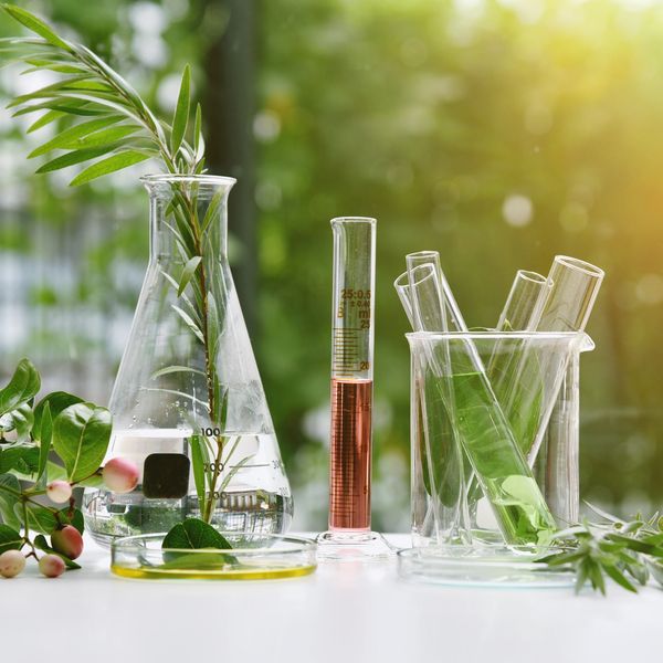 Laboratory glassware with green plants and liquids in a bright natural setting.