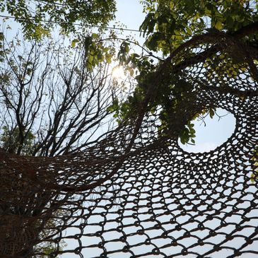 Treenet into the trees