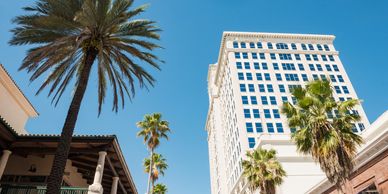 Tall palm trees beside buildings on a clear day.