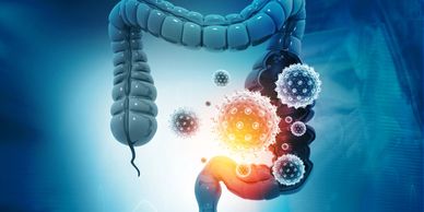 it shows a happy gut after a colon hydrotherapy cleanse