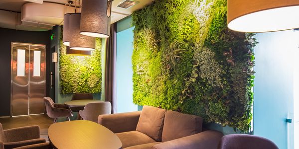 Modern lounge with green plant walls and cozy seating.