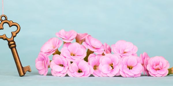 Key and flowers