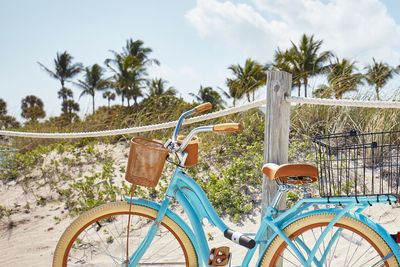 A blue bicycle parked on a sandy beach near palm trees.