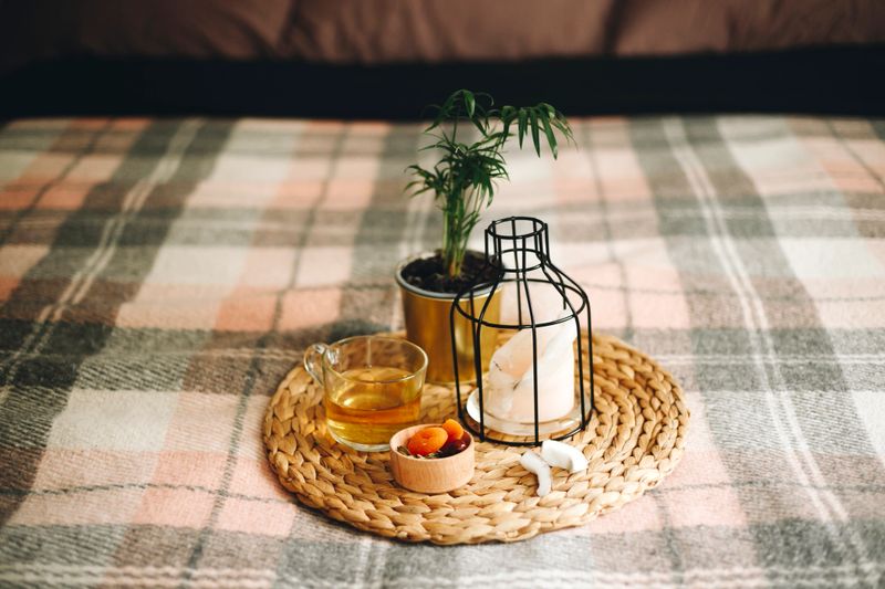 Photo with selected of focus breakfast in the bed on checkered plaid and round wicker tray with dried apricots, coconut and cup of herbal tea,  with potted plant and pink candle in trendy candlestick