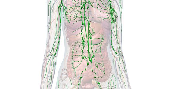 Assisted lymphatic care 