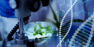 Bioformatics