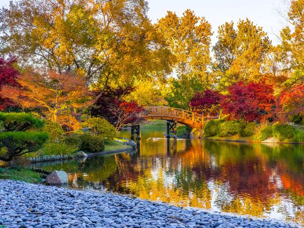 A serene autumn scene with a wooden bridge over a calm river surrounded by colorful trees.