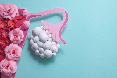 Pamuk toplarla yapılmış çiçek ve pembe dal.