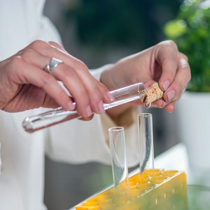 Homeopathic remedy preparation