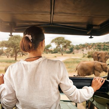 A woman on safari watching elephants in the wild from a vehicle.