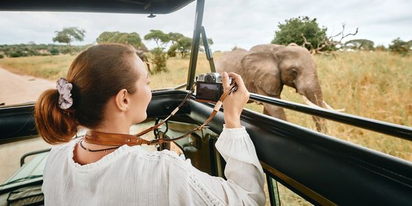 Young woman in a jeep on a safari taking a picture of an elephant