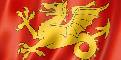 Red flag with a golden dragon emblem.