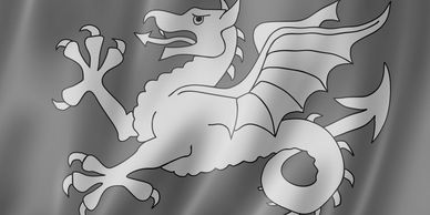 Red flag with a golden dragon emblem.