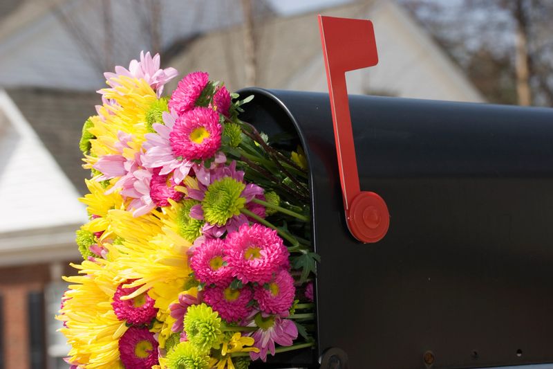 Fresh spring flower bouquet in the mailbox