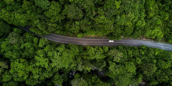 A road winding through a forest with a car driving on it.