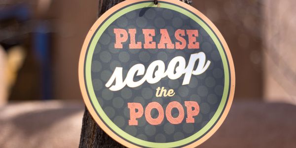 Scoop the Poop!