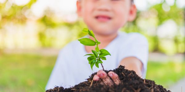 A child holds soil with a young green plant growing from it.