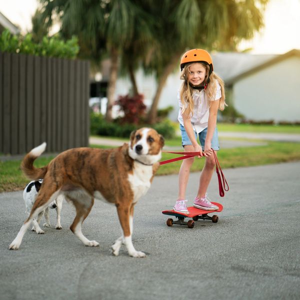 Young girl riding a skateboard while holding two dog leashes outdoors.
