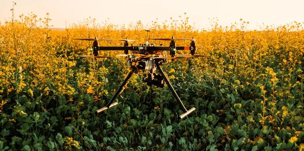 Drone spraying in action