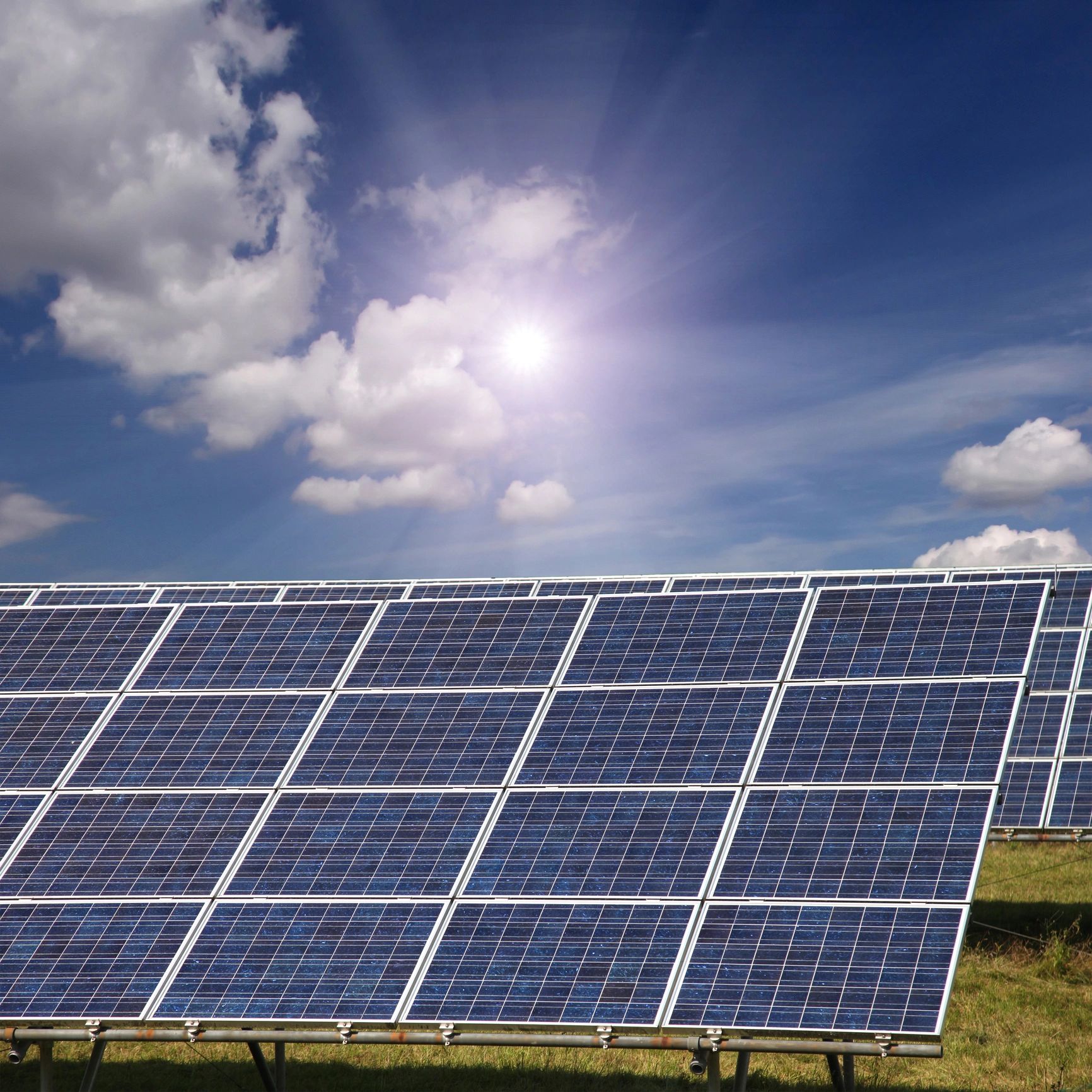 Microgrids Everywhere