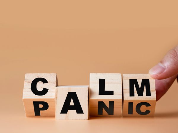 Wooden blocks showing the choice between 'panic' and 'calm'.
