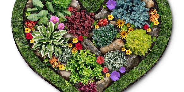 Heart-shaped garden bed filled with colorful flowers and greenery.