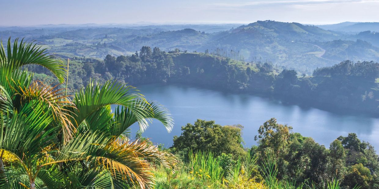 Lush greenery overlooking a serene lake and distant hills under a clear blue sky.