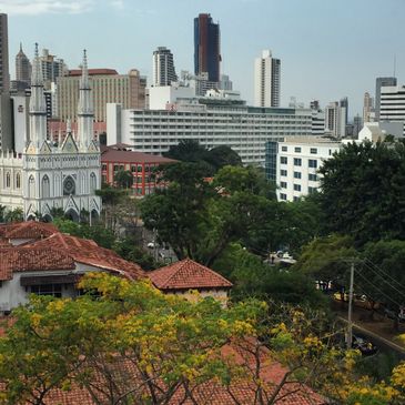 Cityscape with a mix of historic and modern buildings surrounded by greenery.