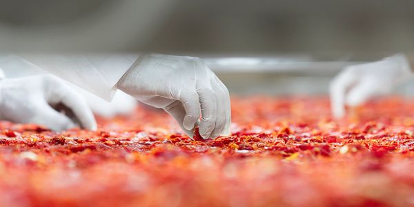 Producción industrial de ingredientes naturales de origen amazónico.