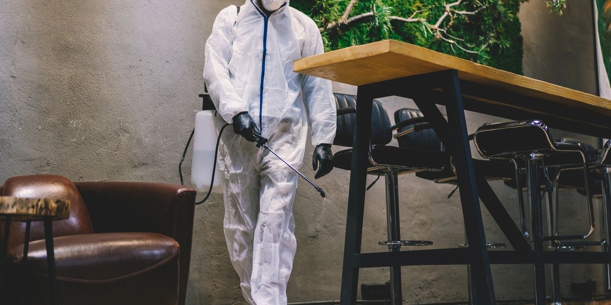  A service professional inspecting and applying bed bug treatment in hotel rooms.