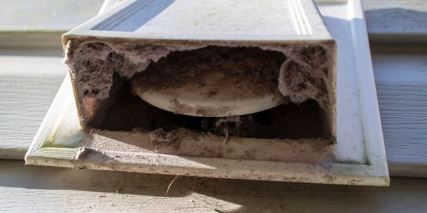 outside dryer vent flapper