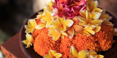A bowl of vibrant yellow and orange flowers.