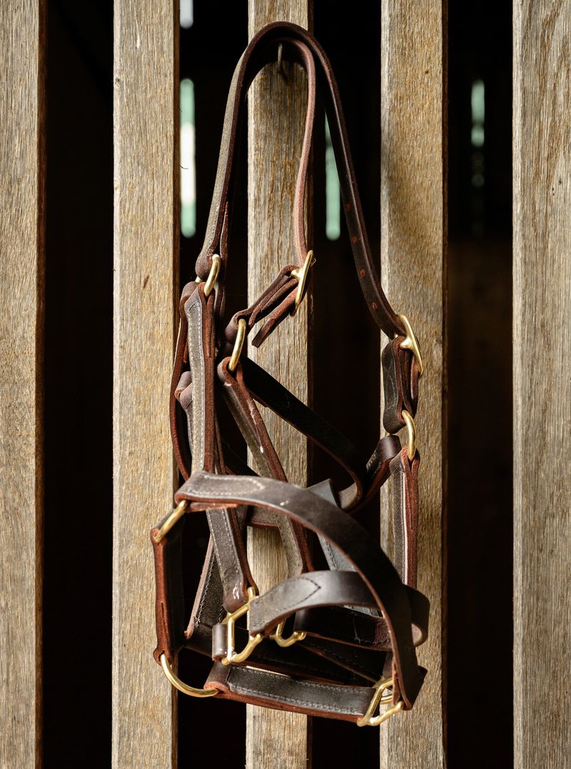 Bit and Bridle Hang On Horse Stable wall