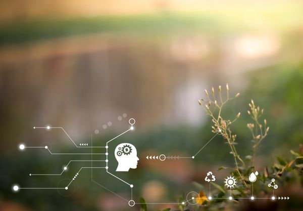 Digital illustration linking human intelligence to nature and sustainability.