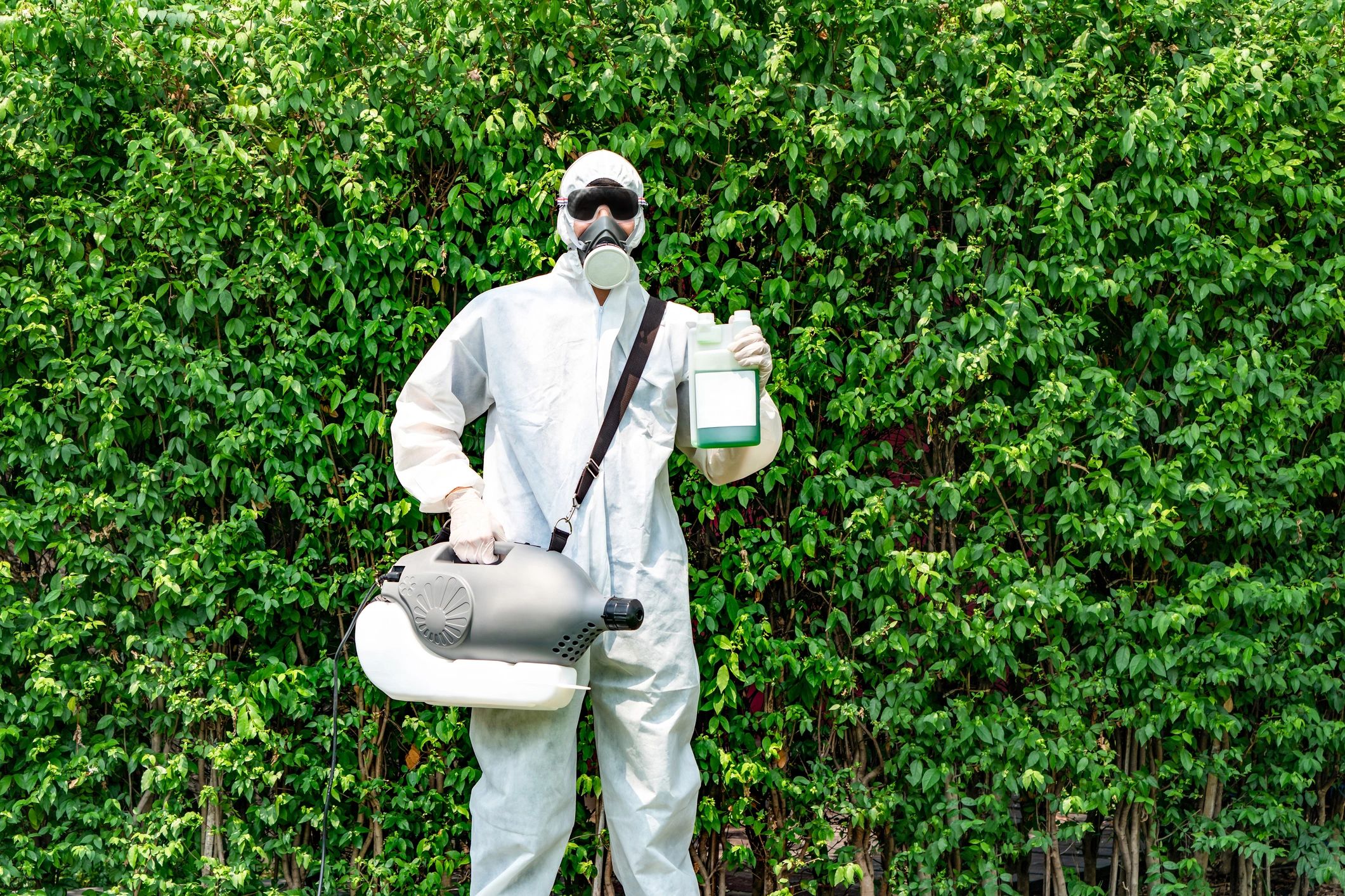 Top One Pest Control Services