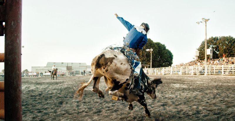 A Bull Rider Competes in a Bull Riding Event while Riding a Bucking Bull's Back in a Stadium Full of People at Sunset