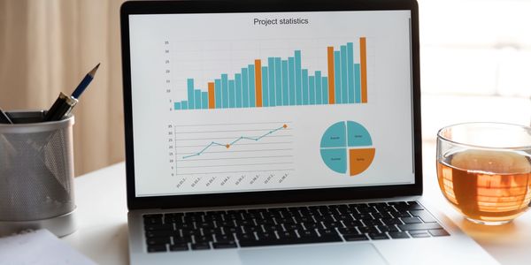 Laptop screen displaying project statistics with charts and graphs.