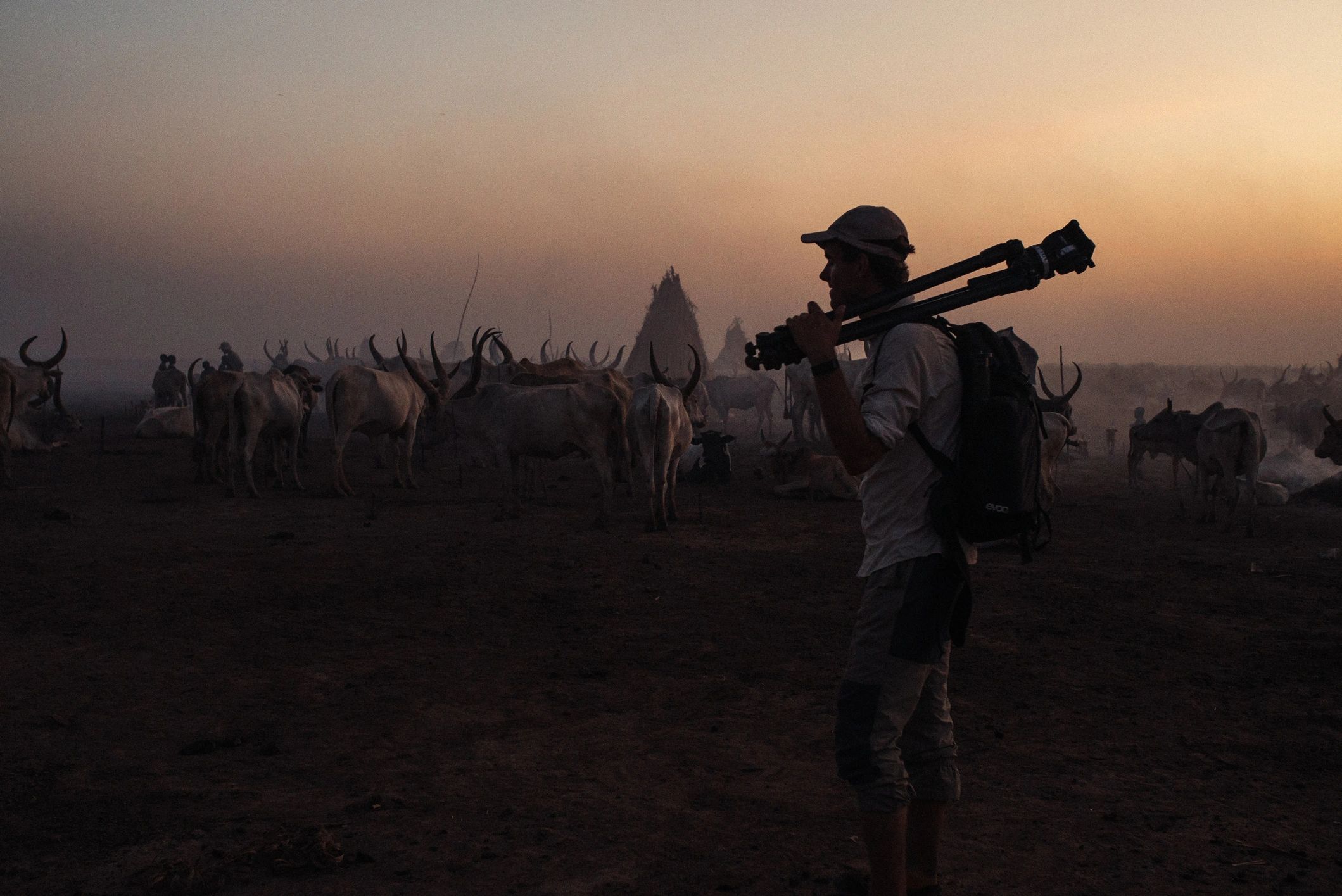 From Script to Screen: A Filmmaker's Journey