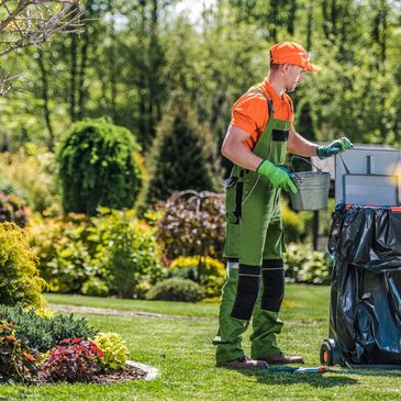 Yard cleanup