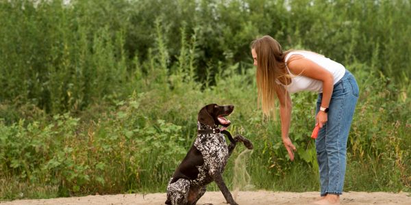 Woman training a dog outdoors.