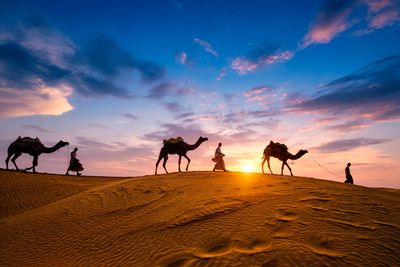 One life. Endless adventures—expertly crafted, fearlessly pursued.