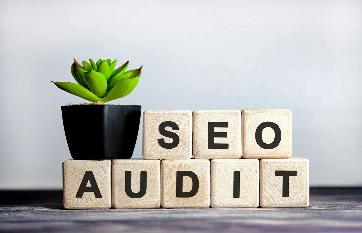 Vision Niche Ads SEO Audit Report Overview