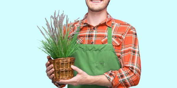 Smiling gardener in green apron holding a potted plant with purple flowers.