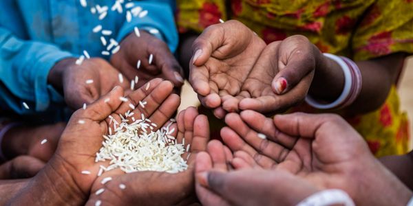 Hands receiving and sharing rice grains in a communal setting.