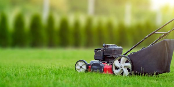 A image depicting a well maintained lawn
