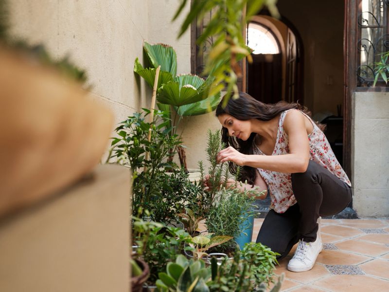 A hispanic young woman taking care of her plants at home for wellbeing.
