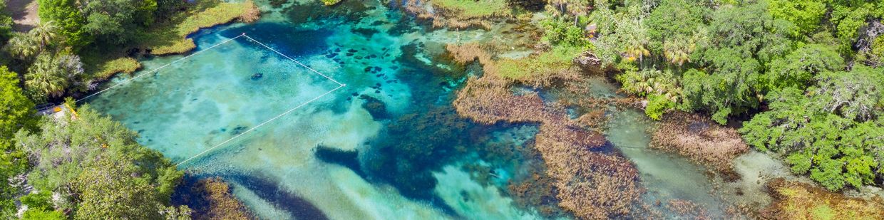 Family paddleboarding over crystal-clear Florida natural spring surrounded by lush forest