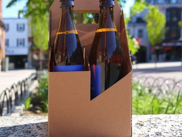 Two brown bottles in a cardboard carrier on an outdoor stone surface.