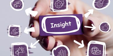 consumer insight services